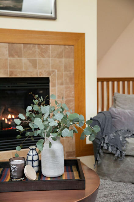 kari-cambell-interiors_full-service-interior-design_minneapolis-minnesota_parkview-13.jpe