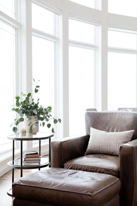 kari-cambell-interiors_full-service-interior-design_minneapolis-minnesota_lakeside-14.jpe