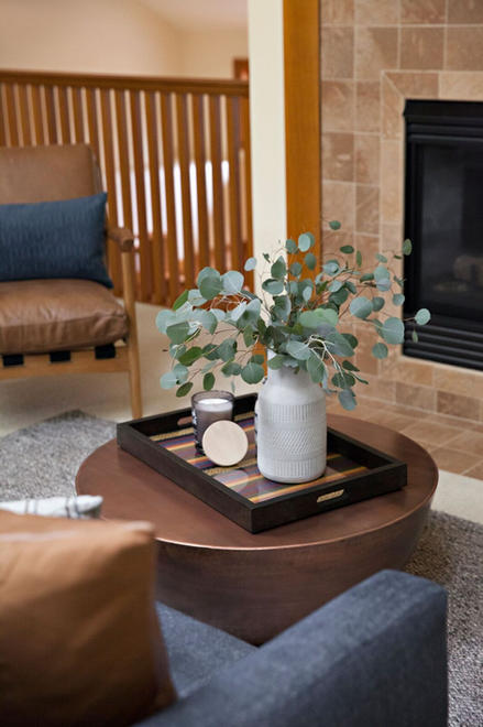 kari-cambell-interiors_full-service-interior-design_minneapolis-minnesota_parkview-1.jpeg
