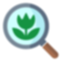 Microdata
