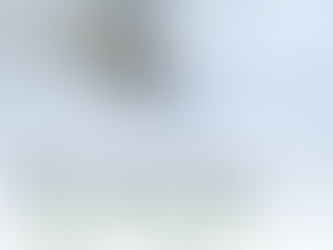 Pillow & Comforter Combo