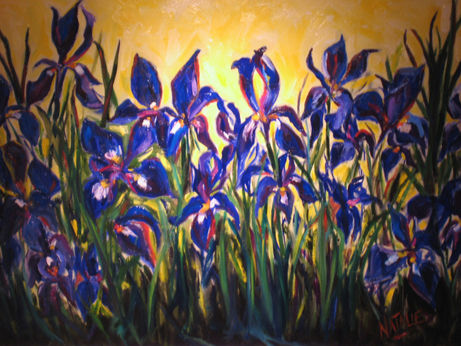 blue-iris-thumb