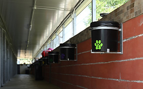 Ingresso Cuccia cani