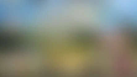 XIX CONVENTION ILMAS 2023