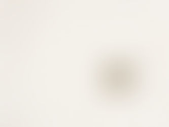 Japanische Gastfreundschaft