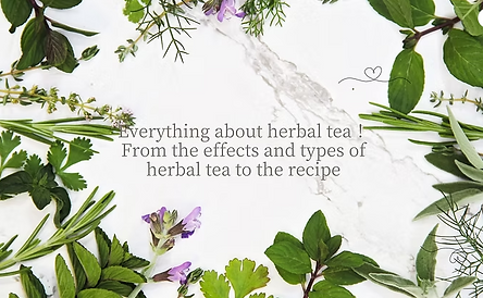 Everything about herbal tea