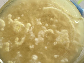 White Lines on Shio Koji