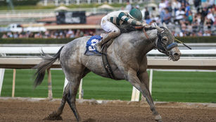 Feb. 2023 - The Year of the Flip Flop, Dirty Horse Dozen