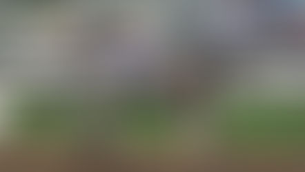 Feb. 2023 - The Year of the Flip Flop, Dirty Horse Dozen