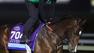2022 Breeders Cup Juvenile