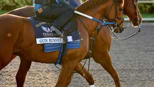 Pegasus World Cup - History & Analysis