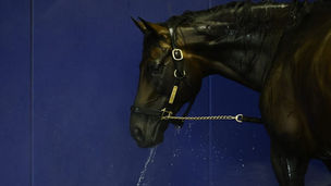 2022 Champagne Stakes Analysis