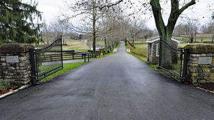 The Tale of Two Farms