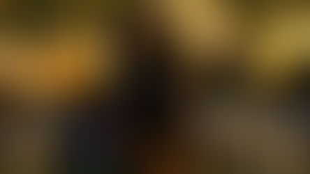 The Track. The Sights. And More.