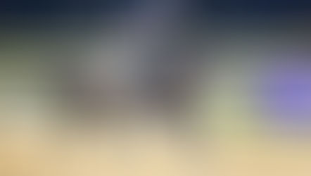 Dishing the Dirt - Edition #2