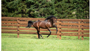 Dishing the Dirt - Edition #1