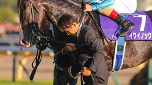 EQUINOX - Undisputed World's Best