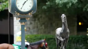 Breeders Cup 2023 - Picks, Tips, & Longshots - Various Races