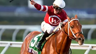 2022 Gun Runner Stakes Analysis