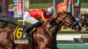 2023 Pegasus World Cup Analysis