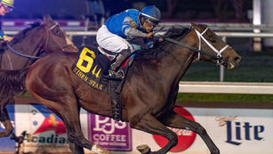 2023 Kentucky Derby Analysis