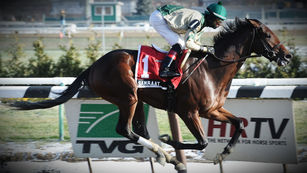 The Gotham Stakes Battle