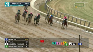 Dirty Horse Derby Dozen - Feb '24