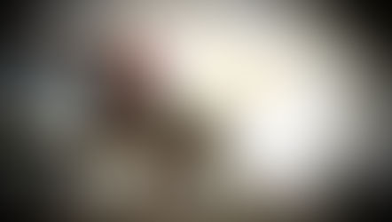 The Grandeur of Horse Racing