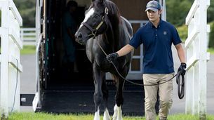 Dishing the Dirt - Edition #5