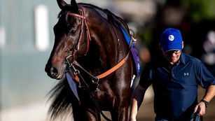 The Average Category - Series - 3 of 4