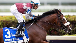 The Speed Category - Series - 2 of 4