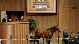 2023 Derby Futures Pool One