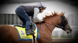 2022 Pennsylvania Derby Analysis