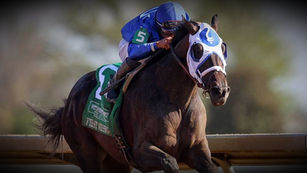 2023 Preakness Stakes Analysis