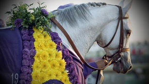 Another Year Gone By