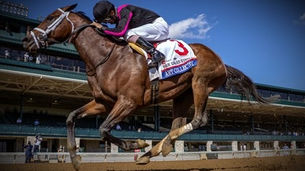 Art Collector - Breeding Stats