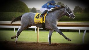 2021 Belmont Stakes Analysis