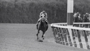 1973 Belmont Stakes