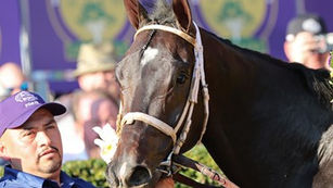 The Florida Derby Entries