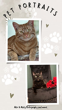 pet portraits.jpg