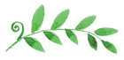 Les feuilles peintes 2