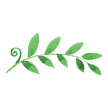 Painted Leaves 2