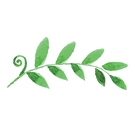 葉っぱ