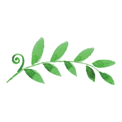 Painted Leaves 2