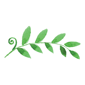 Les feuilles peintes 2