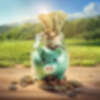 Piggie bank in a savings jar