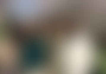 Gaining a Place in History: Pauletta Blueitt