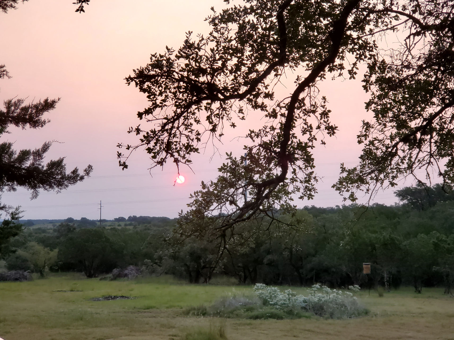 Photos by Dorian of a tree in front of a pinkish purple sunset overlooking an open area