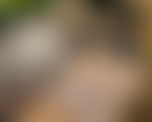 Panning for Gold – The Power of Journaling