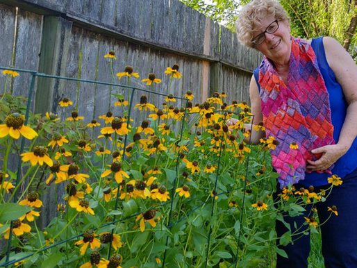 Lessons from the Garden: Nature Takes Control